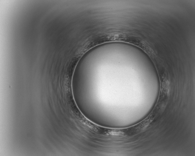 X0000080130659200612221858