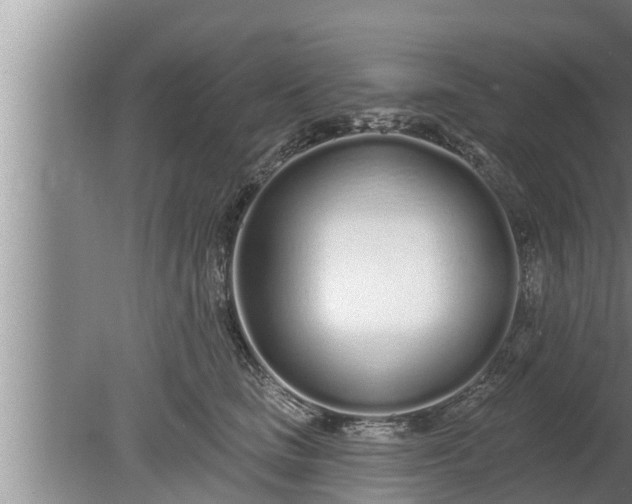 X0000080130661200612221858