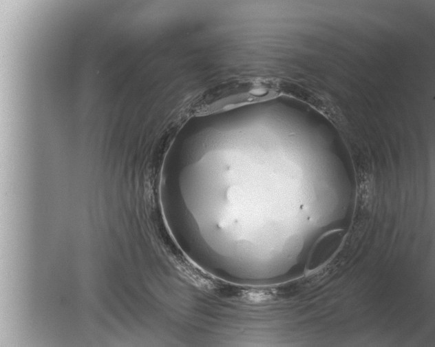 X0000080130662200612221858