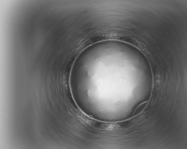 X0000080130663200612221858