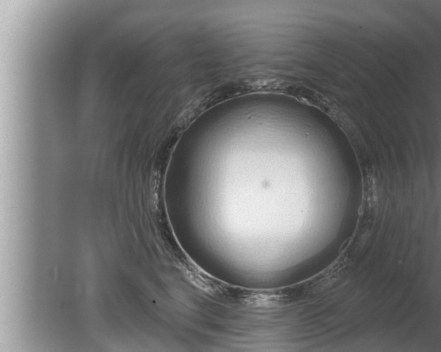 X0000080130664200612221858