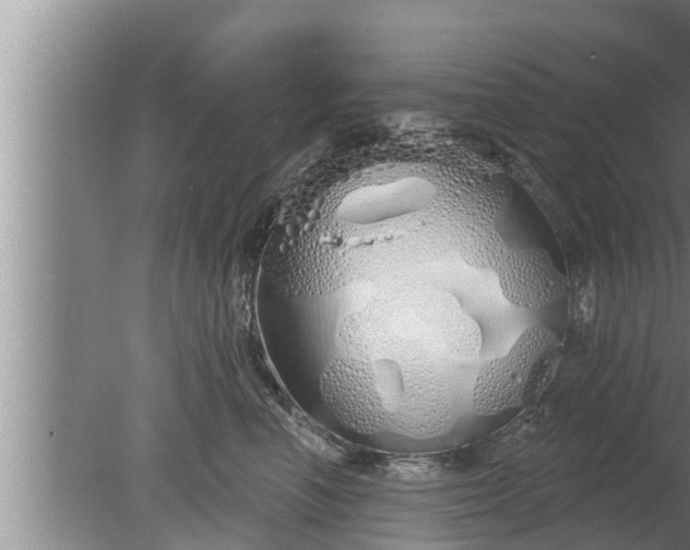 X0000080130666200612221858