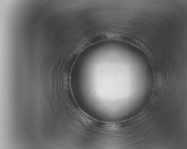 X0000080130667200612221858