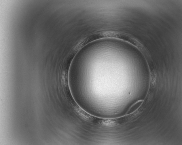 X0000080130669200612221859