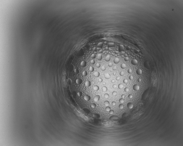 X0000080130670200612221859