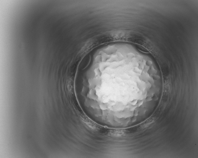 X0000080130671200612221859