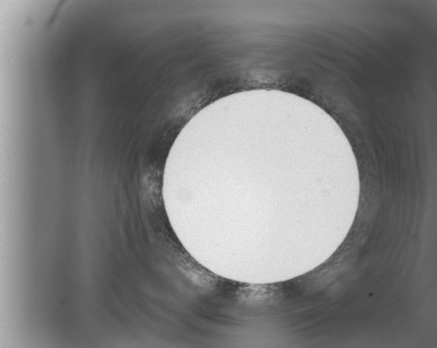 X0000080130672200612221859