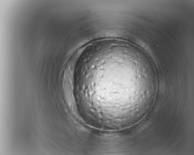 X0000080130673200612221858