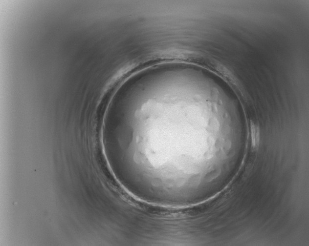 X0000080130675200612221858