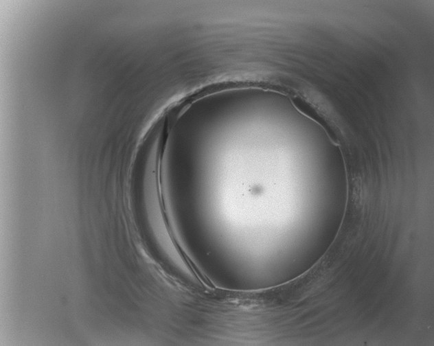 X0000080130676200612221858