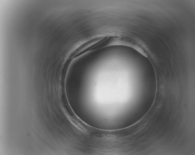 X0000080130677200612221858