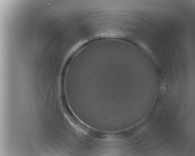 X0000080130678200612221858