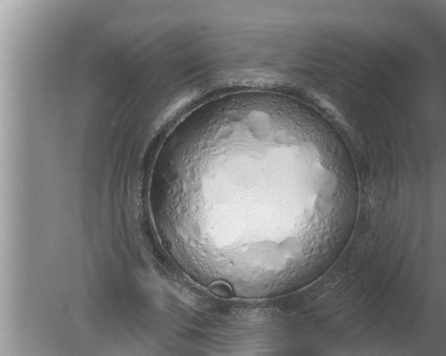 X0000080130679200612221858