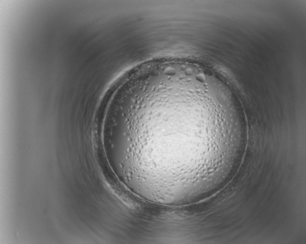 X0000080130680200612221858