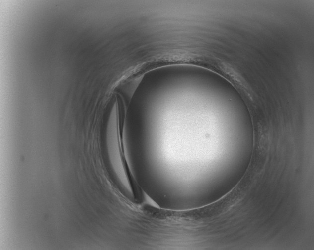 X0000080130681200612221858