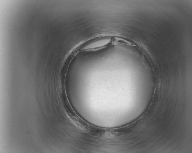 X0000080130684200612221858