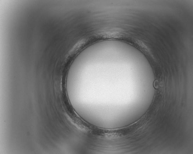 X0000080130686200612221858