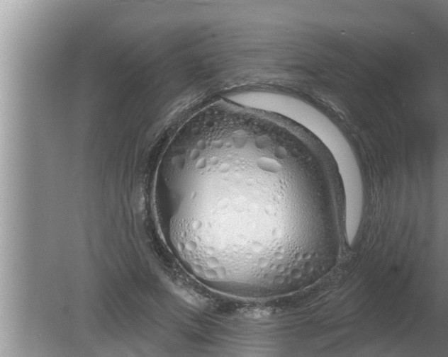 X0000080130687200612221858