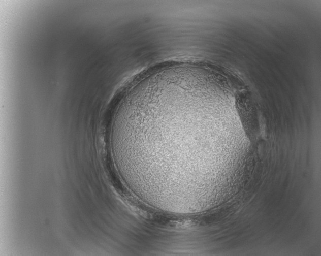 X0000080130688200612221858