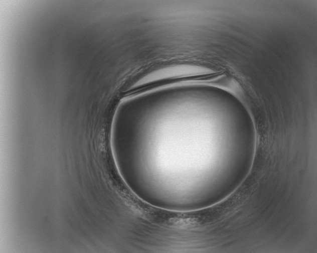 X0000080130689200612221858