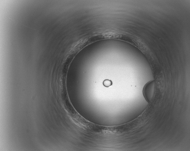 X0000080130690200612221857