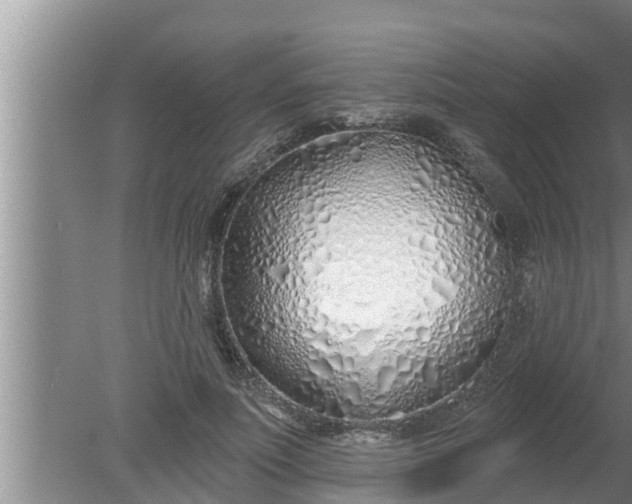 X0000080130691200612221857