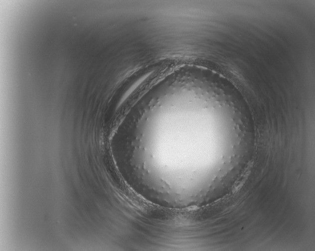 X0000080130692200612221857