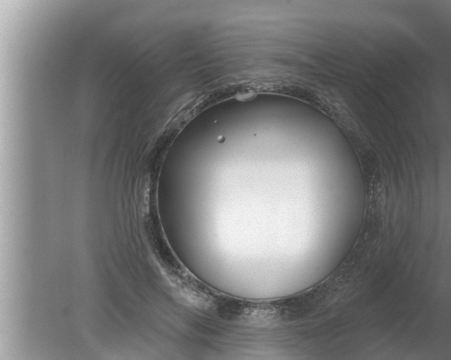 X0000080130694200612221857