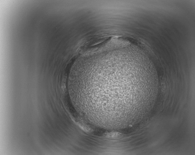 X0000080130695200612221857