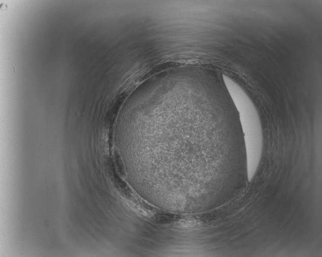 X0000080130696200612221857