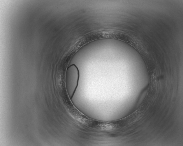 X0000080130698200612221857