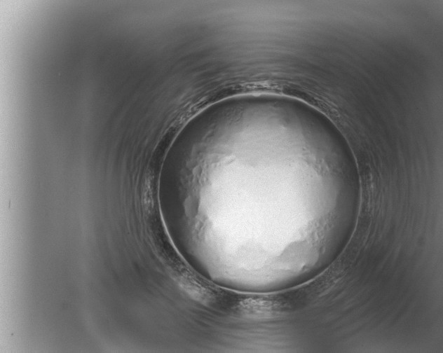 X0000080130699200612221857