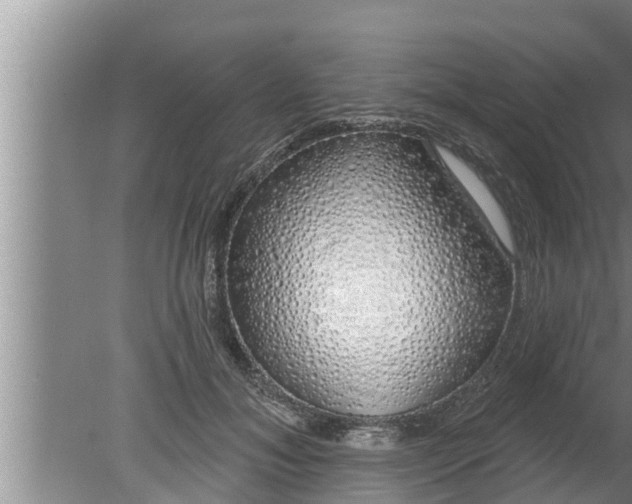 X0000080130700200612221857