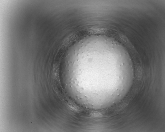 X0000080130701200612221857