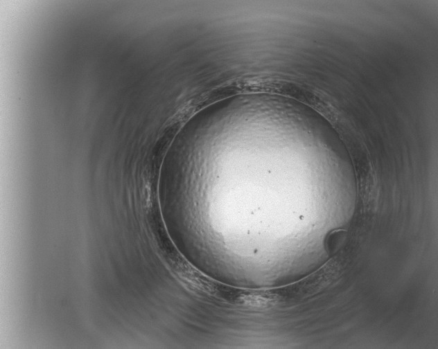 X0000080130703200612221857