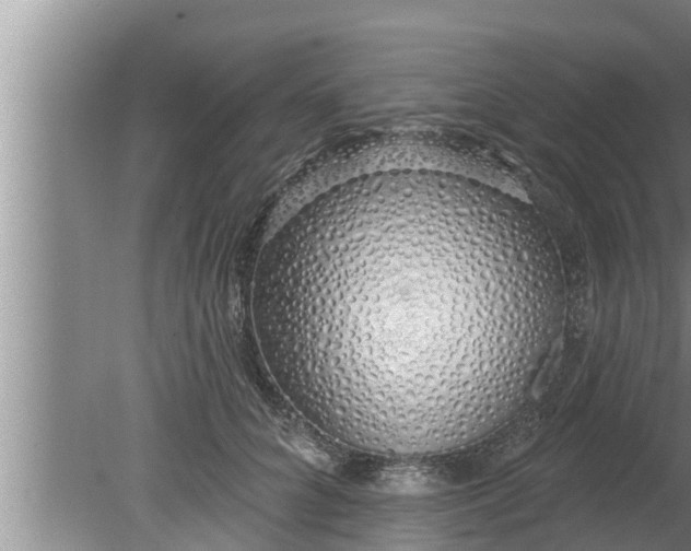 X0000080130704200612221857