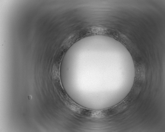 X0000080130705200612221857