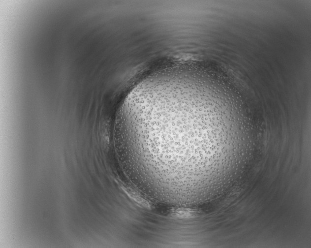 X0000080130710200612221857