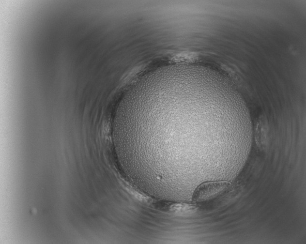 X0000080130714200612221857