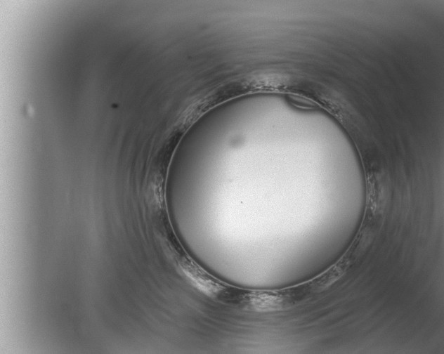 X0000080130718200612221857