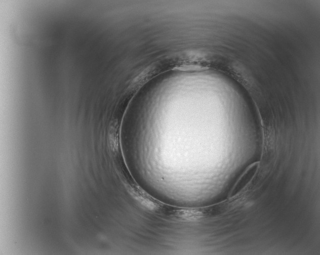 X0000080130719200612221857