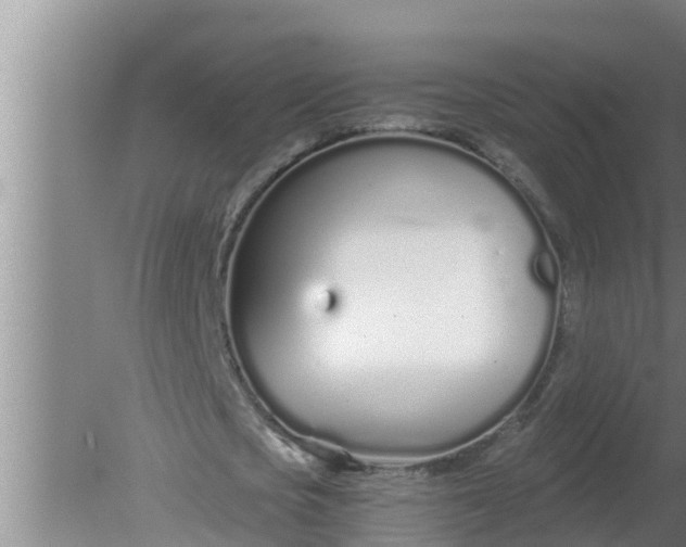 X0000080130721200612221856