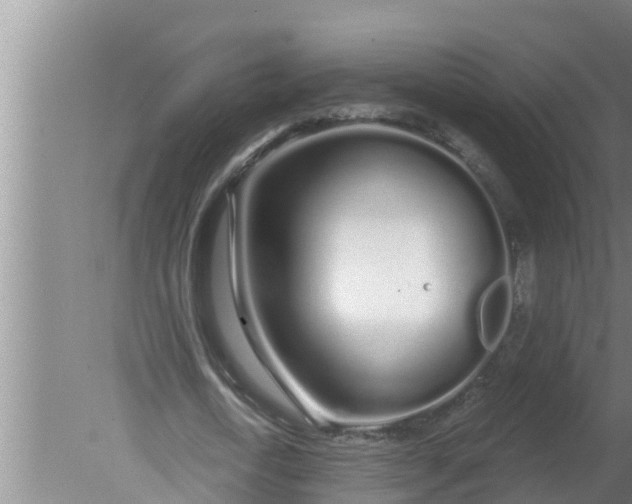 X0000080130722200612221856