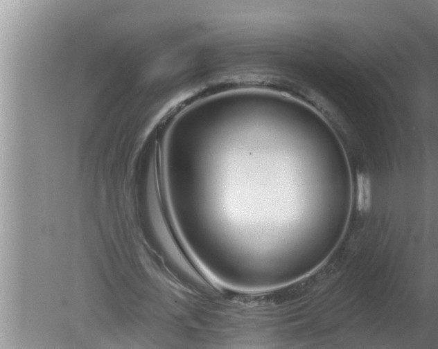 X0000080130723200612221856