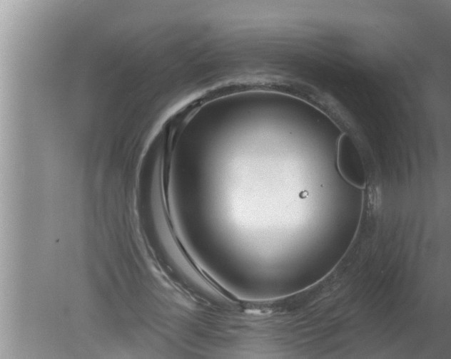 X0000080130724200612221856