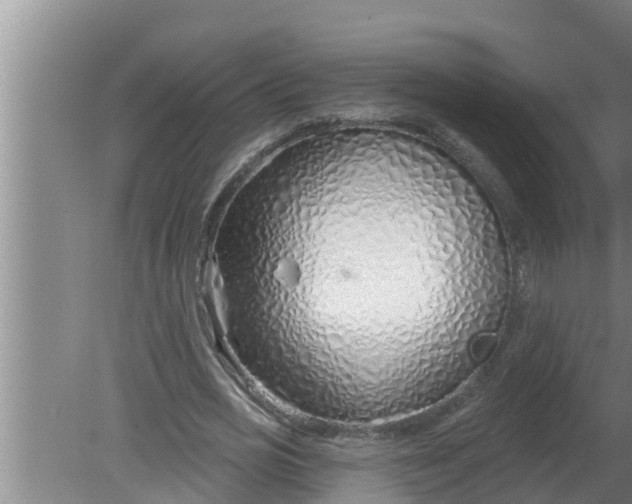 X0000080130725200612221856