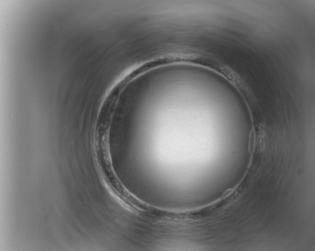 X0000080130726200612221856