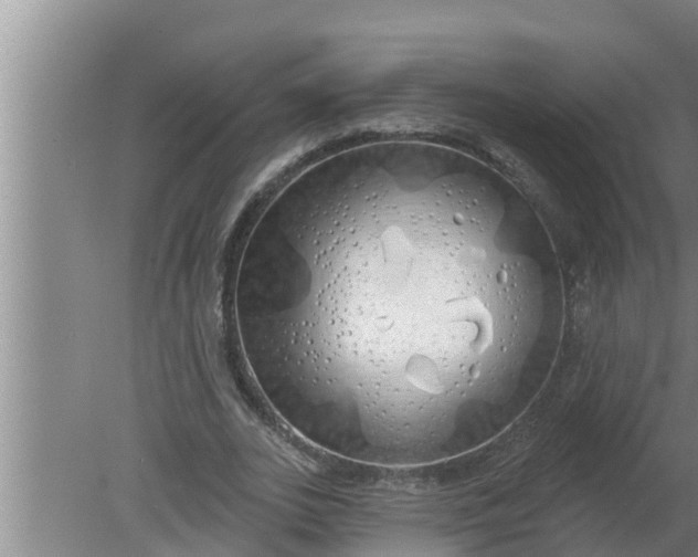 X0000080130727200612221856