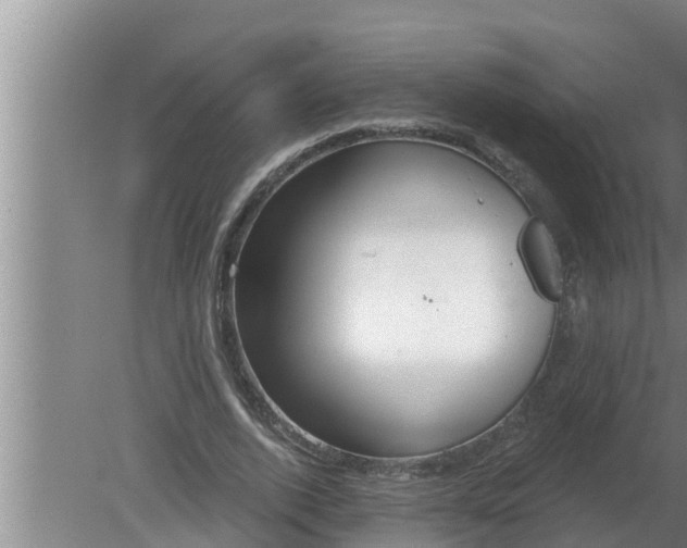 X0000080130728200612221856