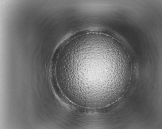 X0000080130730200612221856